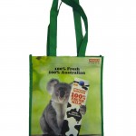 12. Shopping Bag