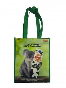 12. Shopping Bag