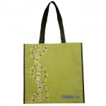 12. Non Woven Tote Bag