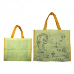 18. Non Woven Shopping Bag