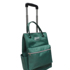 Brands trolley bag_green